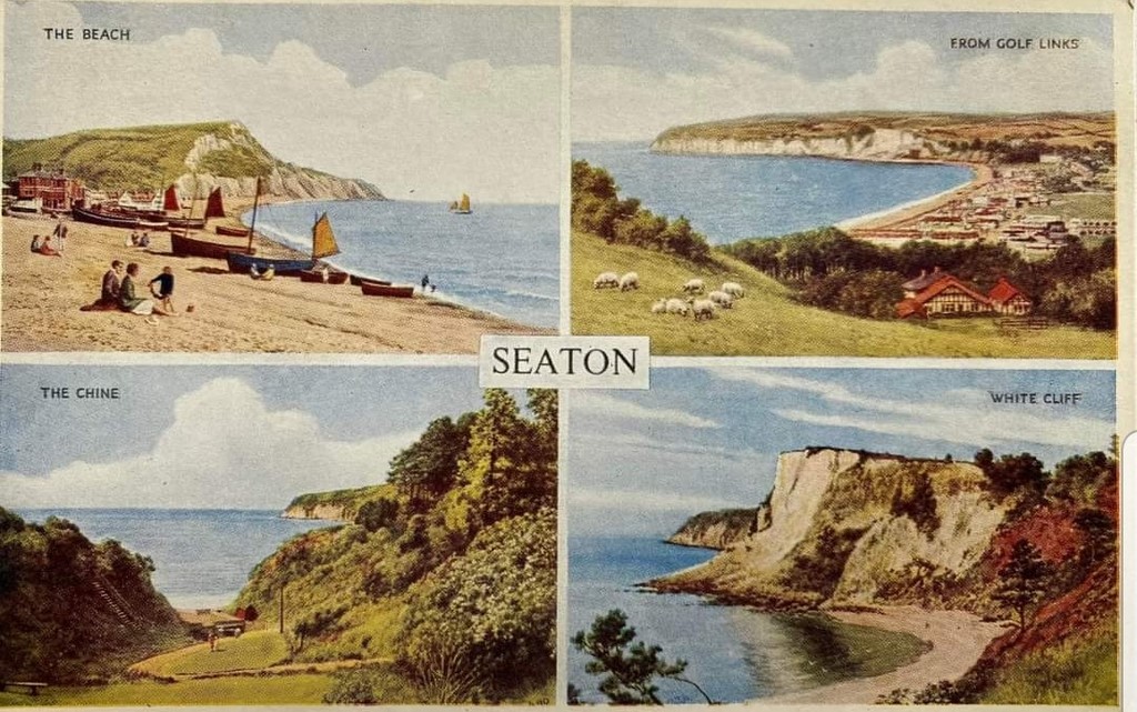 A Multiview Postcard Of Seaton 4