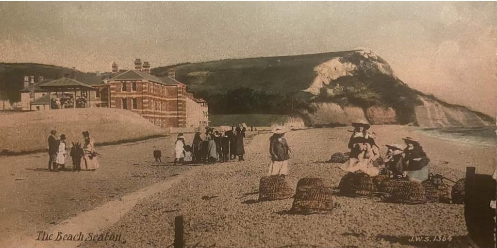 Book Cover The Beach Seaton 1907