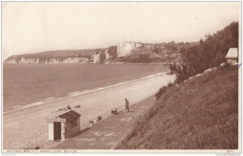 Bathing Beach And White Cliffs Seaton