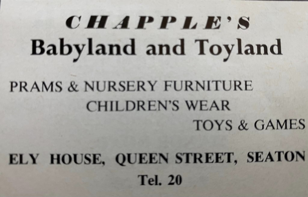 Chapple's Babyland And Toyland Seaton