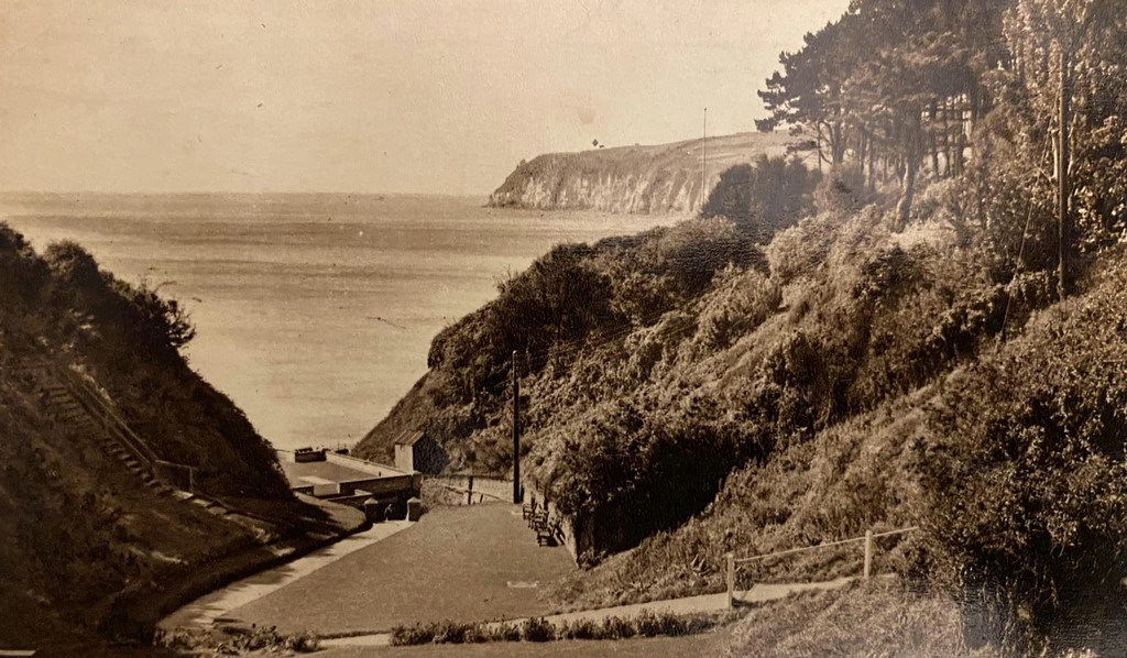 View Down The Chine Near Seaton