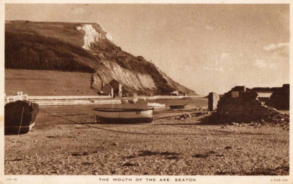 Mouth Of The Axe Seaton