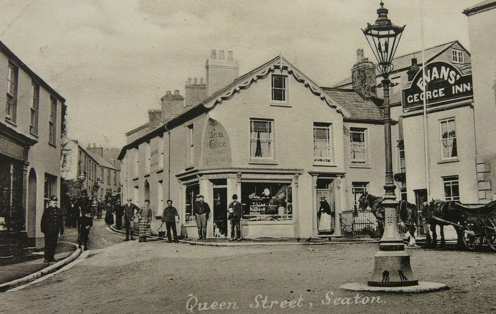 Queen Street In Seaton And George Inn