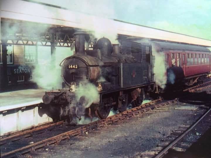 Steam At Seaton