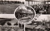 A Multiview Postcard Of Seaton 13