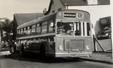 213 Bus Seaton